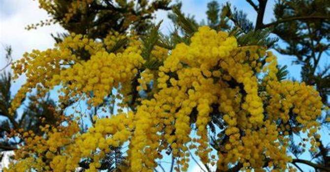 GLI APPUNTAMENTI. Weekend tutto femminile tra musica, corsa e fotografia
