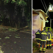 Un albero caduto a Busto Arsizio e Vigili del fuoco al lavoro nella notte a Samarate (foto dalla pagina Facebook del Comune) Un albero caduto a Busto Arsizio e Vigili del fuoco al lavoro nella notte a Samarate (foto dalla pagina Facebook del Comune)
