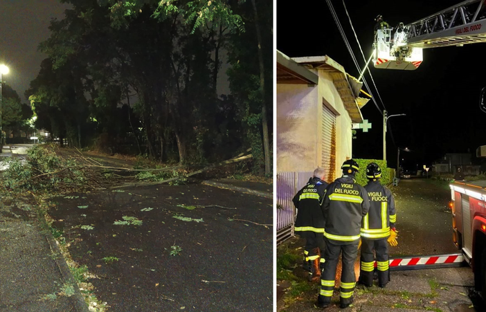 Un albero caduto a Busto Arsizio e Vigili del fuoco al lavoro nella notte a Samarate (foto dalla pagina Facebook del Comune) Un albero caduto a Busto Arsizio e Vigili del fuoco al lavoro nella notte a Samarate (foto dalla pagina Facebook del Comune)