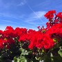 METEO. Sole, massime fino a 31 gradi e prima afa: «Temperature da piena estate»