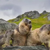 Nasce Family Cai Busto Arsizio: l’escursionismo diventa un’avventura per tutta la famiglia