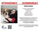 «Aiutateci a trovare Maria. È scomparsa da Castellanza, potrebbe essere stata a Milano»