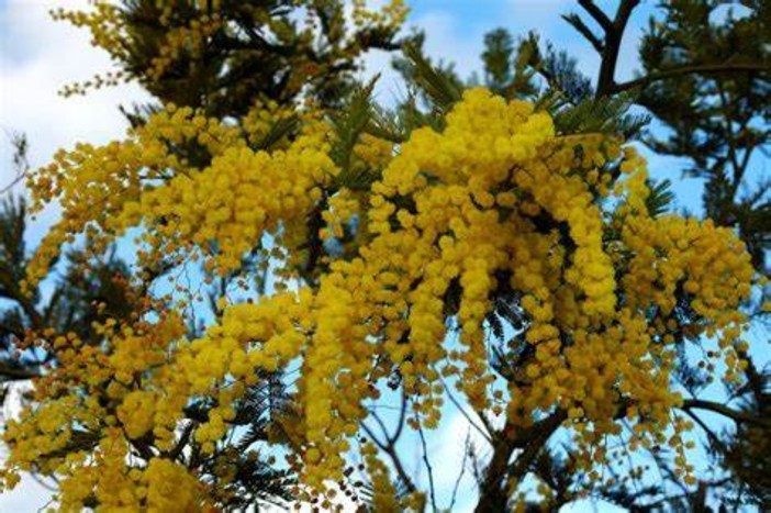GLI APPUNTAMENTI. Weekend tutto femminile tra musica, corsa e fotografia