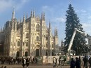 LA FOTO. Milano al lavoro per il suo Albero (e quest'anno non viene dalla nostra provincia) LA FOTO. Milano al lavoro per il suo Albero (e quest'anno non viene dalla nostra provincia)