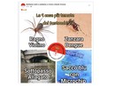 I tormentoni dei bustocchi. E il sacco azzurro se la vede con la zanzara Dengue