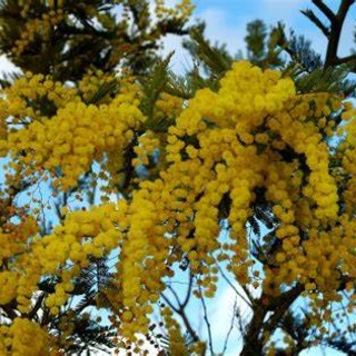 GLI APPUNTAMENTI. Weekend tutto femminile tra musica, corsa e fotografia