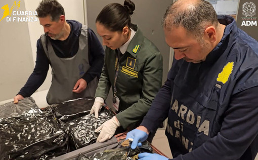 Dagli Stati Uniti con 17 chili di marijuana in valigia: passeggera arrestata a Malpensa Dagli Stati Uniti con 17 chili di marijuana in valigia: passeggera arrestata a Malpensa