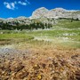 Ddl Montagna, Colombo: «Riconosciuto  il ruolo strategico di agricoltori e allevatori»