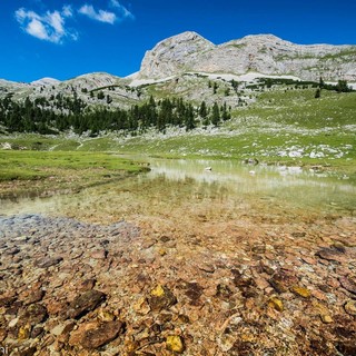 Ddl Montagna, Colombo: «Riconosciuto  il ruolo strategico di agricoltori e allevatori»