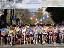 Sono aperte le iscrizioni alla Maratonina di Busto Arsizio: novità, sport e divertimento per tutti Sono aperte le iscrizioni alla Maratonina di Busto Arsizio: novità, sport e divertimento per tutti