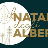 Il Natale degli Alberi: Milano si “illumina d’immenso”