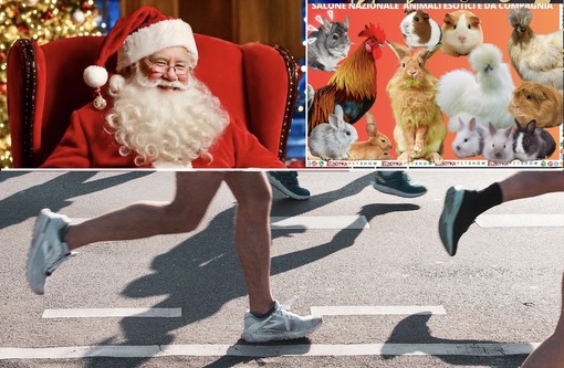 Primi, timidi assaggi di Natale. Ma vincono soprattutto sport e cultura Primi, timidi assaggi di Natale. Ma vincono soprattutto sport e cultura