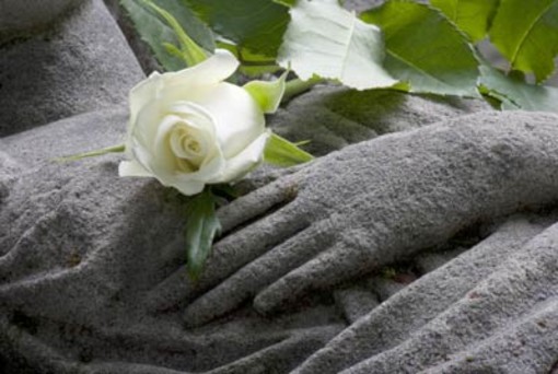 Onoranze funebri Bologna: la cremazione dei pet e gli altri servizi
