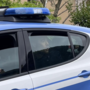 Manfrinati al momento dell'arresto