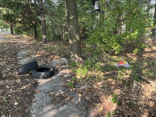 Gli sporcaccioni sono costati oltre 23mila euro a Busto. Ma da ottobre nuova telecamera e raffica di accertamenti: «Mille euro anche solo per un sacchetto» Gli sporcaccioni sono costati oltre 23mila euro a Busto. Ma da ottobre nuova telecamera e raffica di accertamenti: «Mille euro anche solo per un sacchetto»