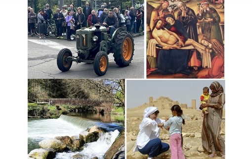 In alto a sinistra i trattori della Veroncora, sotto l'Olona primaverile e poi in senso antiorario Palmira e la Pinacoteca Ambrosiana