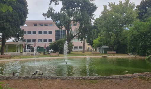 Una foto del Parco di via Ugo Foscolo “Norma Cossetto” Una foto del Parco di via Ugo Foscolo “Norma Cossetto”