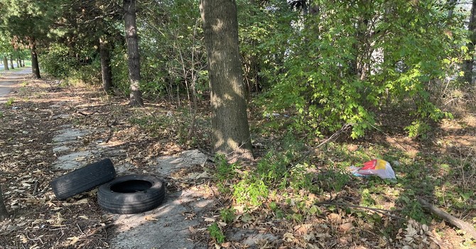 Gli sporcaccioni sono costati oltre 23mila euro a Busto. Ma da ottobre nuova telecamera e raffica di accertamenti: «Mille euro anche solo per un sacchetto»