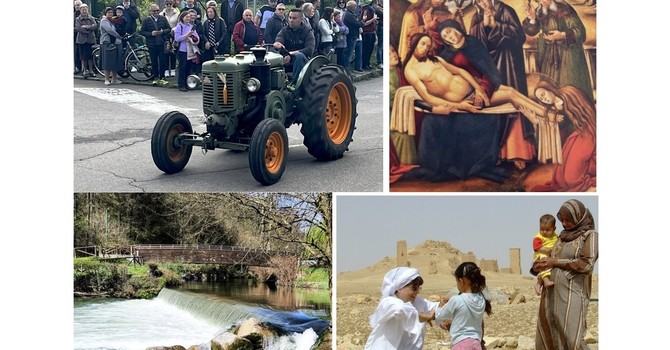 In alto a sinistra i trattori della Veroncora, sotto l'Olona primaverile e poi in senso antiorario Palmira e la Pinacoteca Ambrosiana In alto a sinistra i trattori della Veroncora, sotto l'Olona primaverile e poi in senso antiorario Palmira e la Pinacoteca Ambrosiana