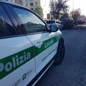Pianta caduta in via Quintino Sella