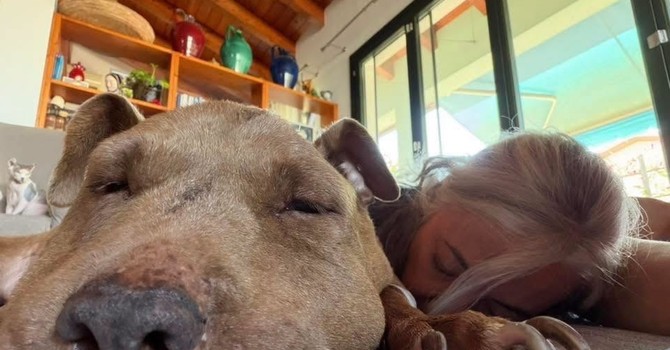 Palla e la dottoressa Pais, nella foto postata oggi