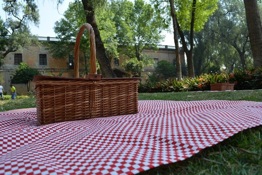 Castellanza, torna il pic-nic solidale: il 4 settembre una cena in piazza a sostegno dell’Alzheimer Café Accorsi Castellanza, torna il pic-nic solidale: il 4 settembre una cena in piazza a sostegno dell’Alzheimer Café Accorsi