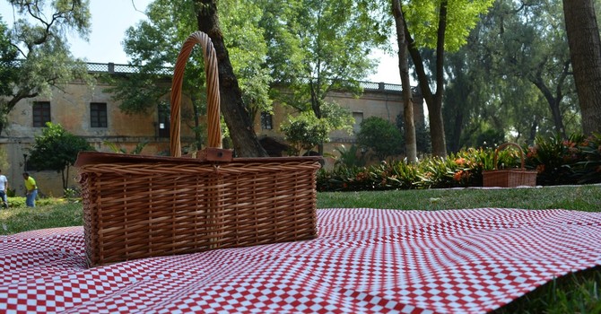 Castellanza, torna il pic-nic solidale: il 4 settembre una cena in piazza a sostegno dell’Alzheimer Café Accorsi Castellanza, torna il pic-nic solidale: il 4 settembre una cena in piazza a sostegno dell’Alzheimer Café Accorsi