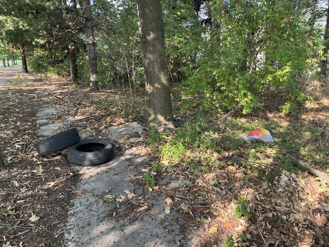 Gli sporcaccioni sono costati oltre 23mila euro a Busto. Ma da ottobre nuova telecamera e raffica di accertamenti: «Mille euro anche solo per un sacchetto»