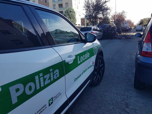 Pianta caduta in via Quintino Sella