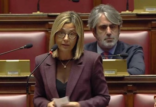 Gadda: «Protezione civile, senza risorse la riforma rischia di restare una scatola vuota»