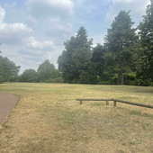A PIEDI NUDI NEL PARCO. Busto, Parco Sempione: un’oasi di sport e relax dove l’unica vera criticità sono i cani lasciati liberi