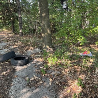 Gli sporcaccioni sono costati oltre 23mila euro a Busto. Ma da ottobre nuova telecamera e raffica di accertamenti: «Mille euro anche solo per un sacchetto»