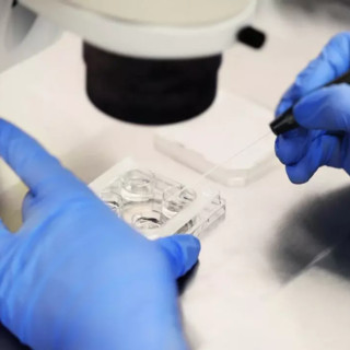 Astuti: «Serve rafforzare l’offerta pubblica e garantire accesso equo alla PMA»