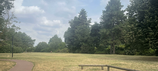 VIDEO - Parco Sempione, il polmone verde dove Busto Arsizio si rimette in movimento VIDEO - Parco Sempione, il polmone verde dove Busto Arsizio si rimette in movimento