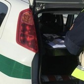 La polizia locale sventa il furto di un irregolare. «Spero che le procedure di espulsione vadano a buon fine» La polizia locale sventa il furto di un irregolare. «Spero che le procedure di espulsione vadano a buon fine»