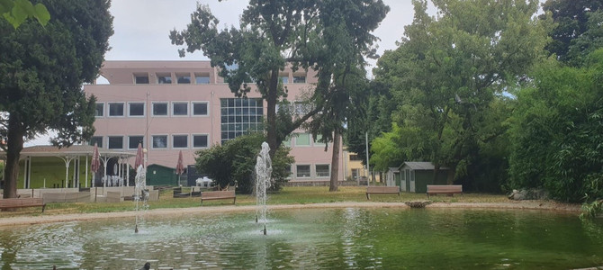 Una foto del Parco di via Ugo Foscolo “Norma Cossetto” Una foto del Parco di via Ugo Foscolo “Norma Cossetto”