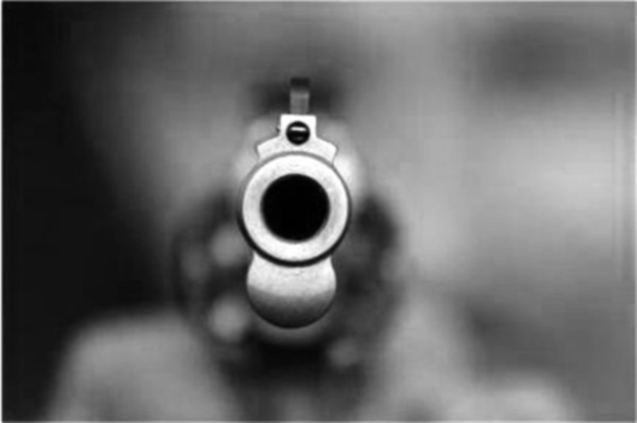 Paura nell’Alto Milanese: appicca un incendio in casa e spara con una pistola Paura nell’Alto Milanese: appicca un incendio in casa e spara con una pistola