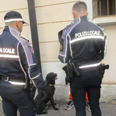 Controlli fino all’alba e tolleranza zero al degrado: la Polizia Locale rafforza la sicurezza a Gallarate