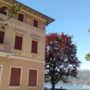 «Golden Waters», arte e moda tra Lago Maggiore, Milano e Sanremo: il viaggio parte da Luino