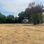 Busto, parco Fratelli di Dio tirato a lucido. Ora si pensa all’area cani Busto, parco Fratelli di Dio tirato a lucido. Ora si pensa all’area cani
