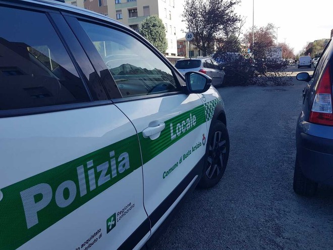 Pianta caduta in via Quintino Sella