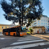Via le transenne: piazza Trento e Trieste completamente riaperta al traffico