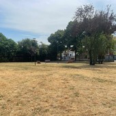Busto, parco Fratelli di Dio tirato a lucido. Ora si pensa all’area cani Busto, parco Fratelli di Dio tirato a lucido. Ora si pensa all’area cani