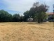 Busto, parco Fratelli di Dio tirato a lucido. Ora si pensa all’area cani Busto, parco Fratelli di Dio tirato a lucido. Ora si pensa all’area cani