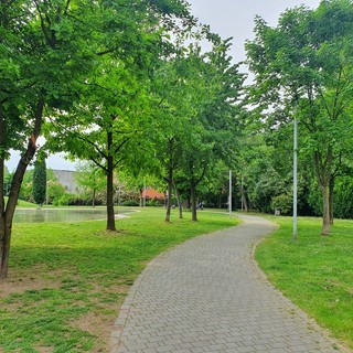 Il Parco Comerio a Busto dove si trova il chiosco oggetto del bando