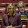 Gadda: «Protezione civile, senza risorse la riforma rischia di restare una scatola vuota»