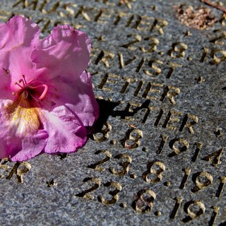 1° novembre - 2 e 4 novembre  - Giusepèn è con me!