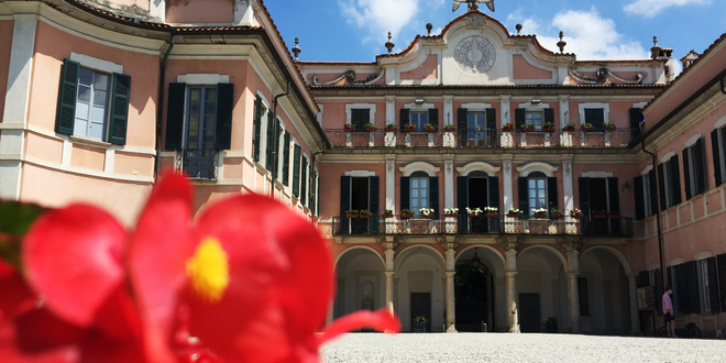 Se son rose, fioriranno