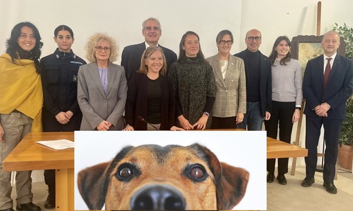 VIDEO. «Mi fido di te»: così i cani aiuteranno i detenuti di Busto a ritrovare speranza e lavoro VIDEO. «Mi fido di te»: così i cani aiuteranno i detenuti di Busto a ritrovare speranza e lavoro