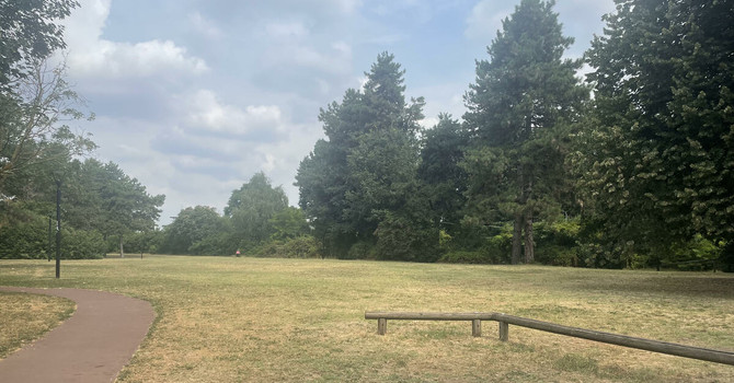 VIDEO - Parco Sempione, il polmone verde dove Busto Arsizio si rimette in movimento VIDEO - Parco Sempione, il polmone verde dove Busto Arsizio si rimette in movimento